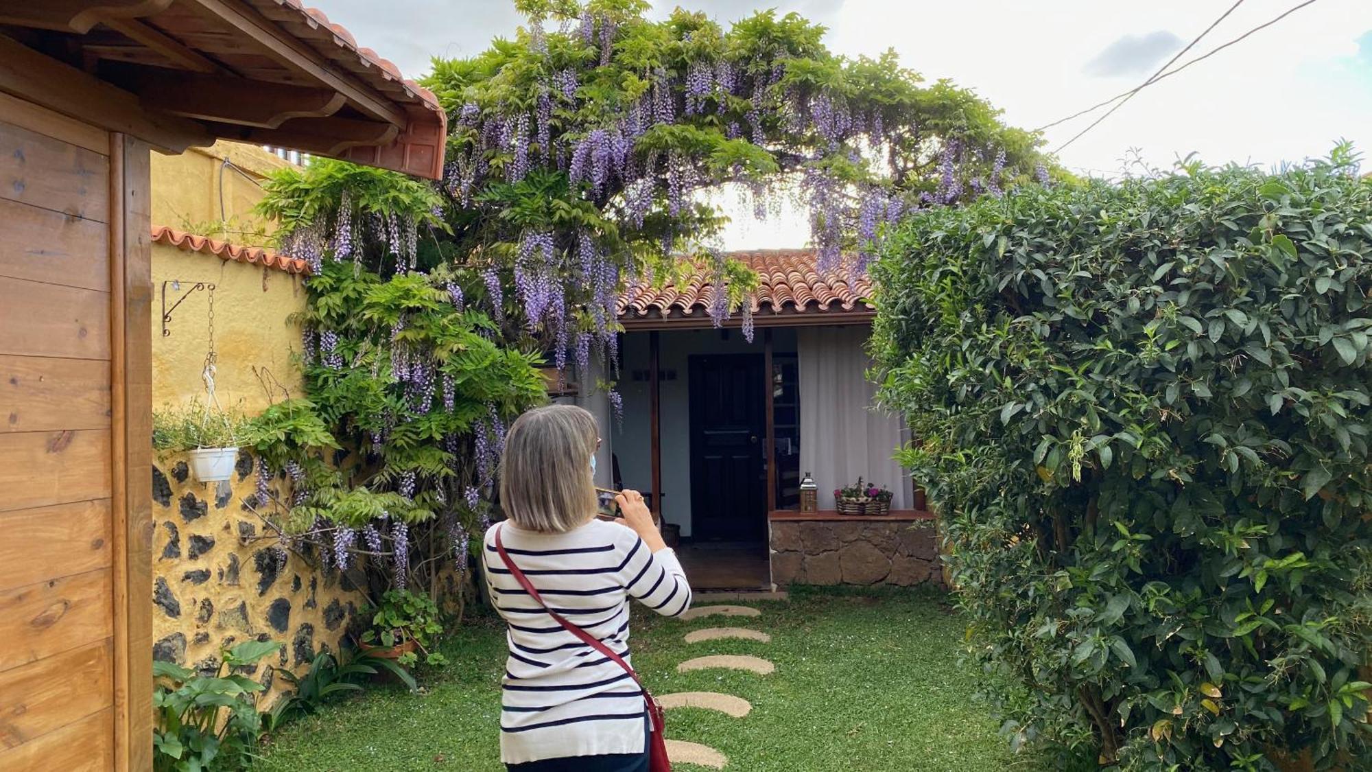 Casa Rural La Ganania Los Realejos Oda fotoğraf